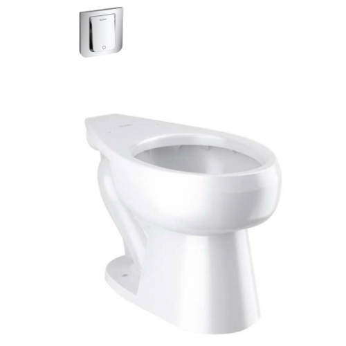 Inodoro con fluxómetro Truflush