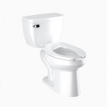 WC con Tanque Flushmate® ADA