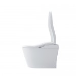 Neorest® LS Silver