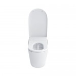 Neorest® LS Silver