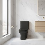 Inodoro One Piece Dual Flush