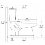 Inodoro con Flushmate®