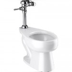 WC con Fluxómetro Manual